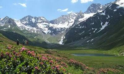 Settimane della flora alpina